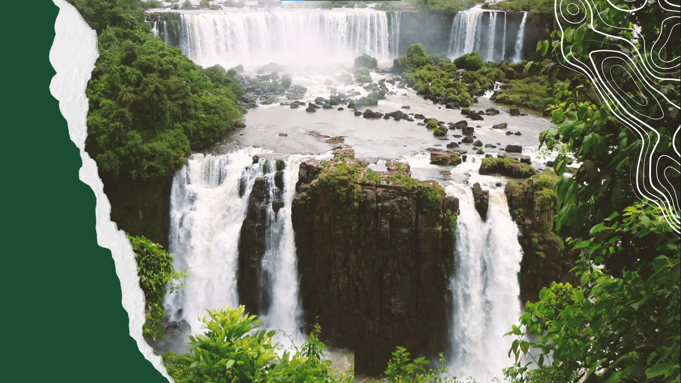 El Liceo Moderno del Sur conmemora el Día Mundial del Medio Ambiente